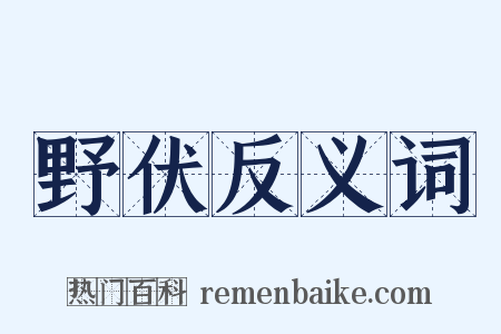 野伏反义词是什么意思的图片